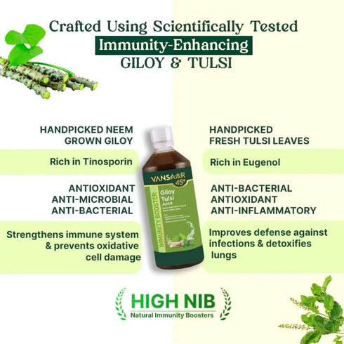 Baidyanath Vansaar Giloy Tulsi Juice 1L